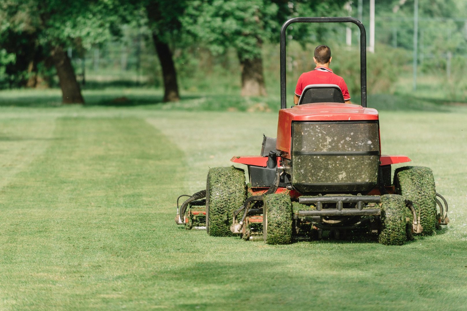 Rear View Of Man Mowing Grassy Land