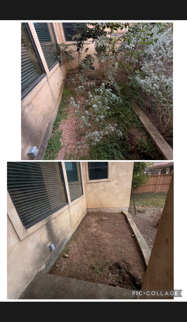 Rivas Lawn Care project photo