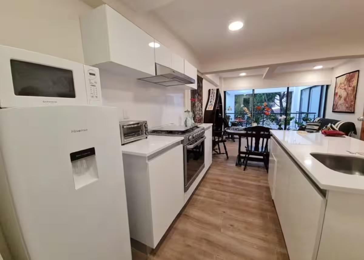 Rio Balsas 60 apartment