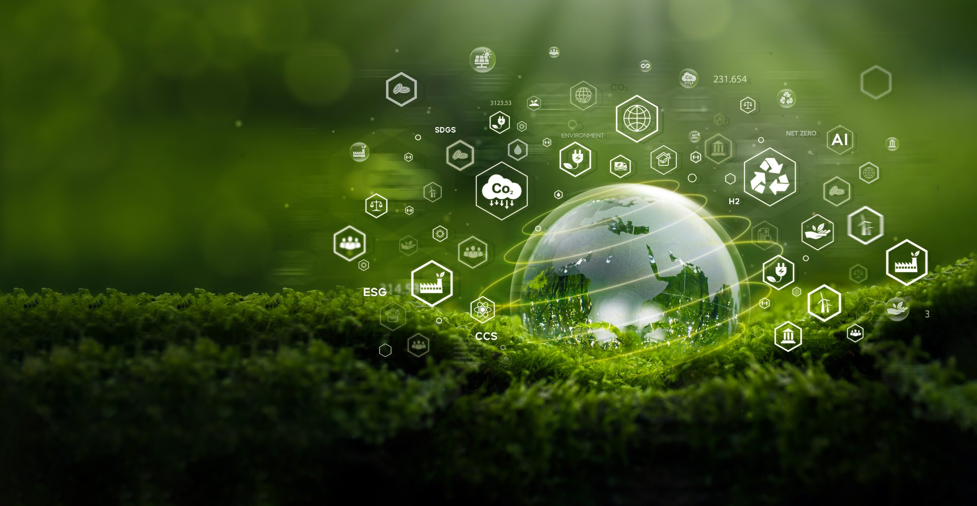 Crystal ball on moss with icons in green forest - environment esg concept, ecology and sustainable environment of the world. Eco-friendly green business. ecology, earth day, csr and net zero