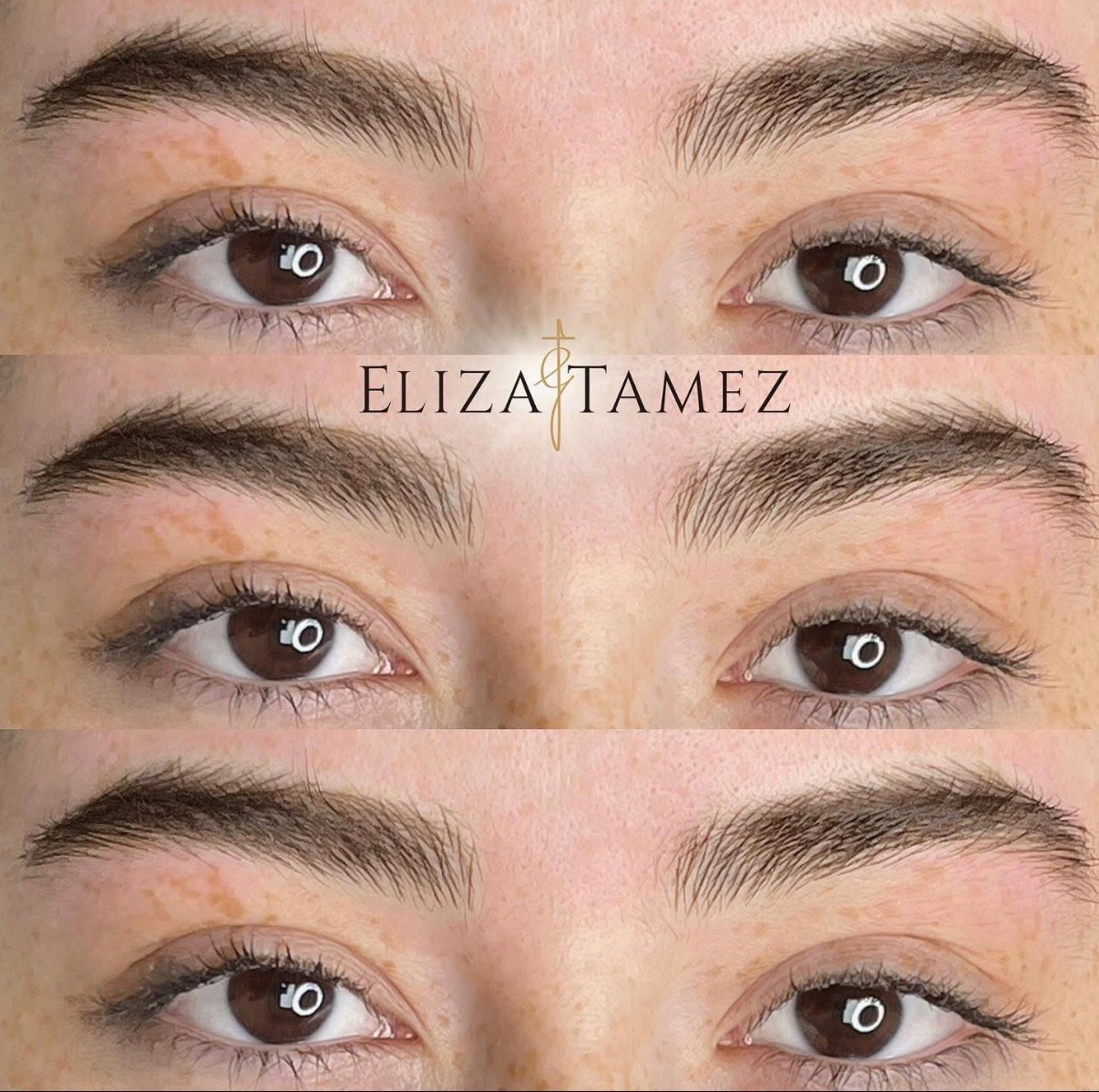 Micropigmentación de cejas