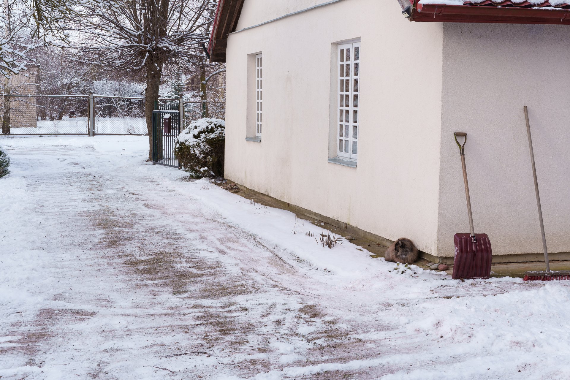 The path to the house has been cleared of snow, a snow shovel and a broom have been placed against the wall of the house for snow removal, the sky is overcast