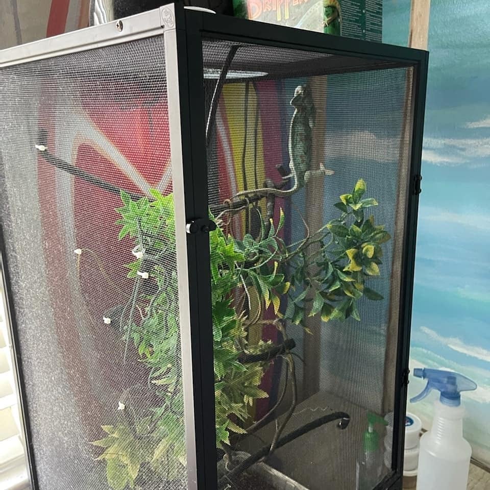 The Herpetarium animal