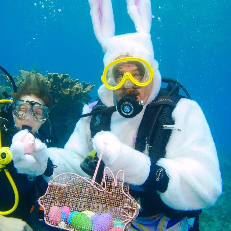 Slate the Easter Bunny