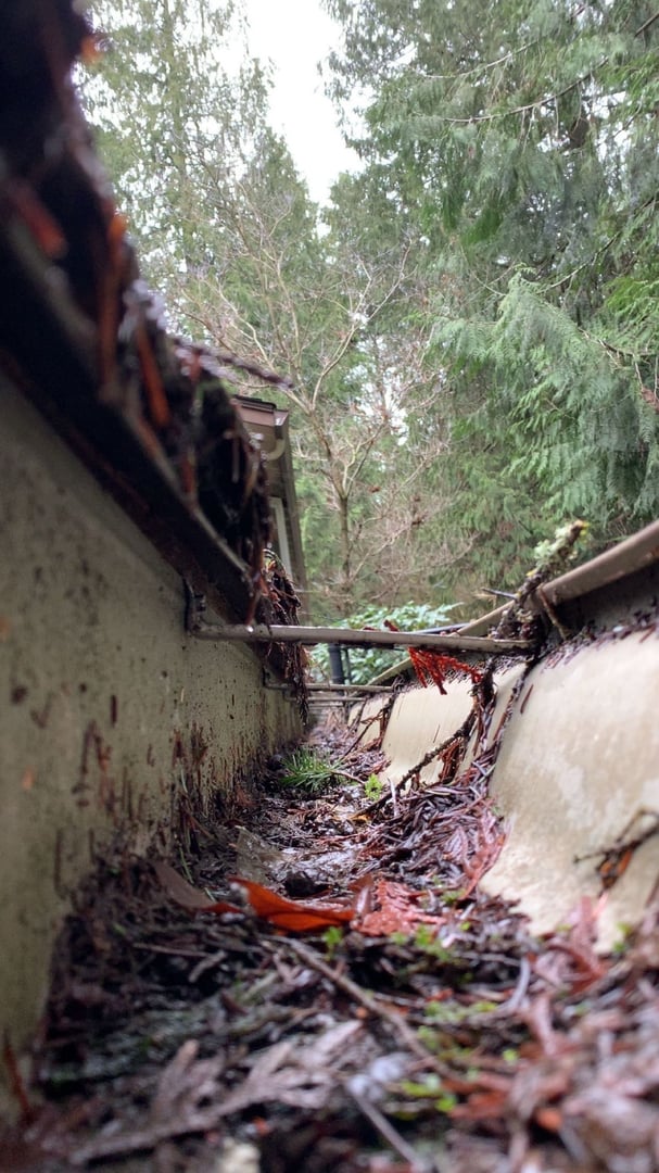 Professional cleaning service by Nicholson's Cleaning