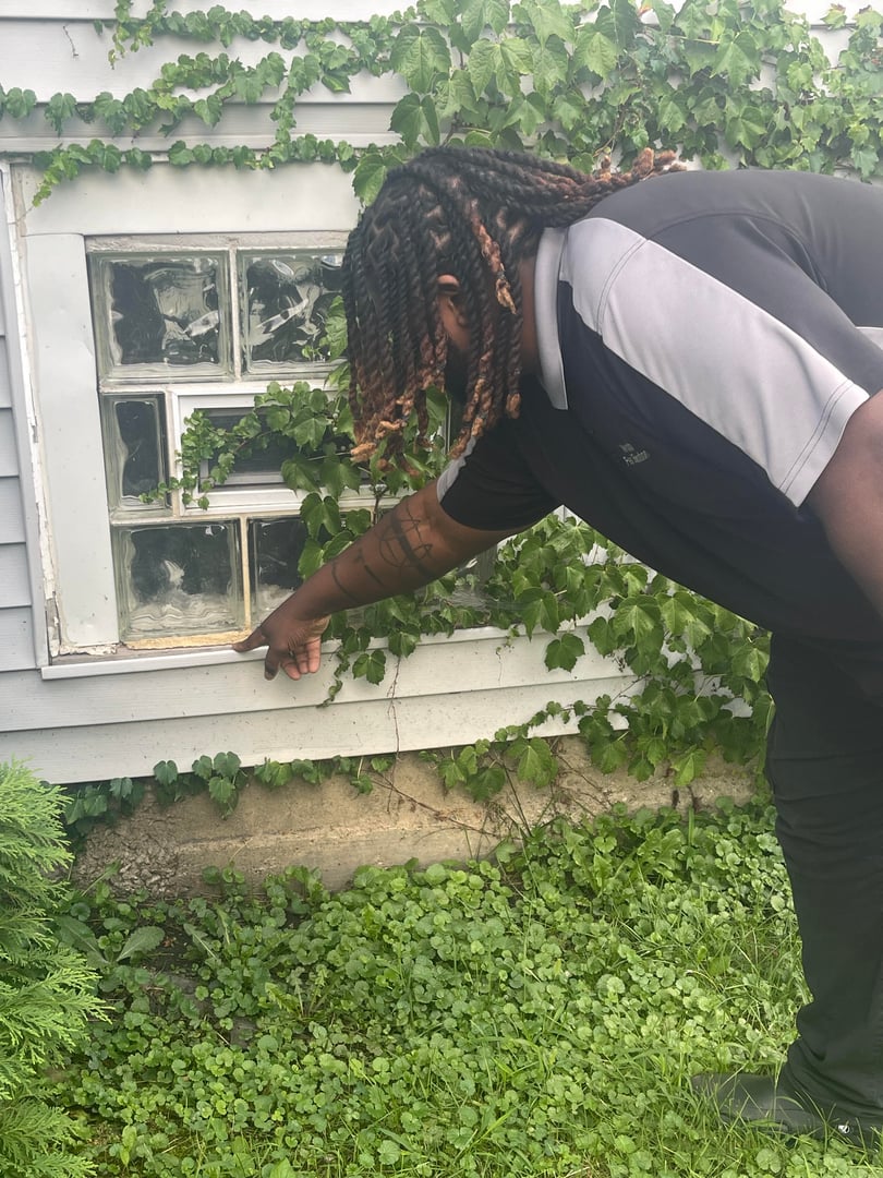 Professional pest control service