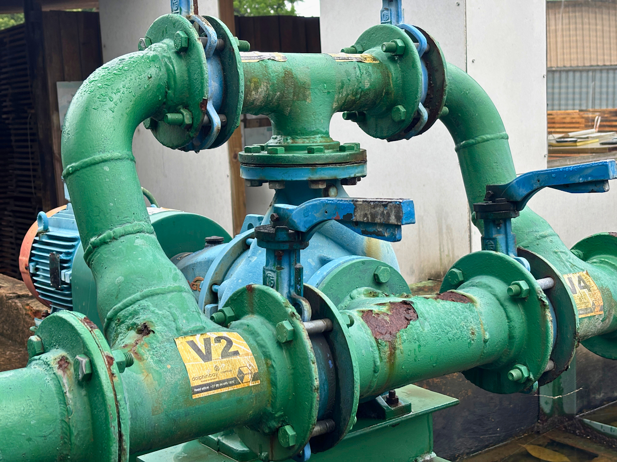 Vimar Timbers quality control and processing area