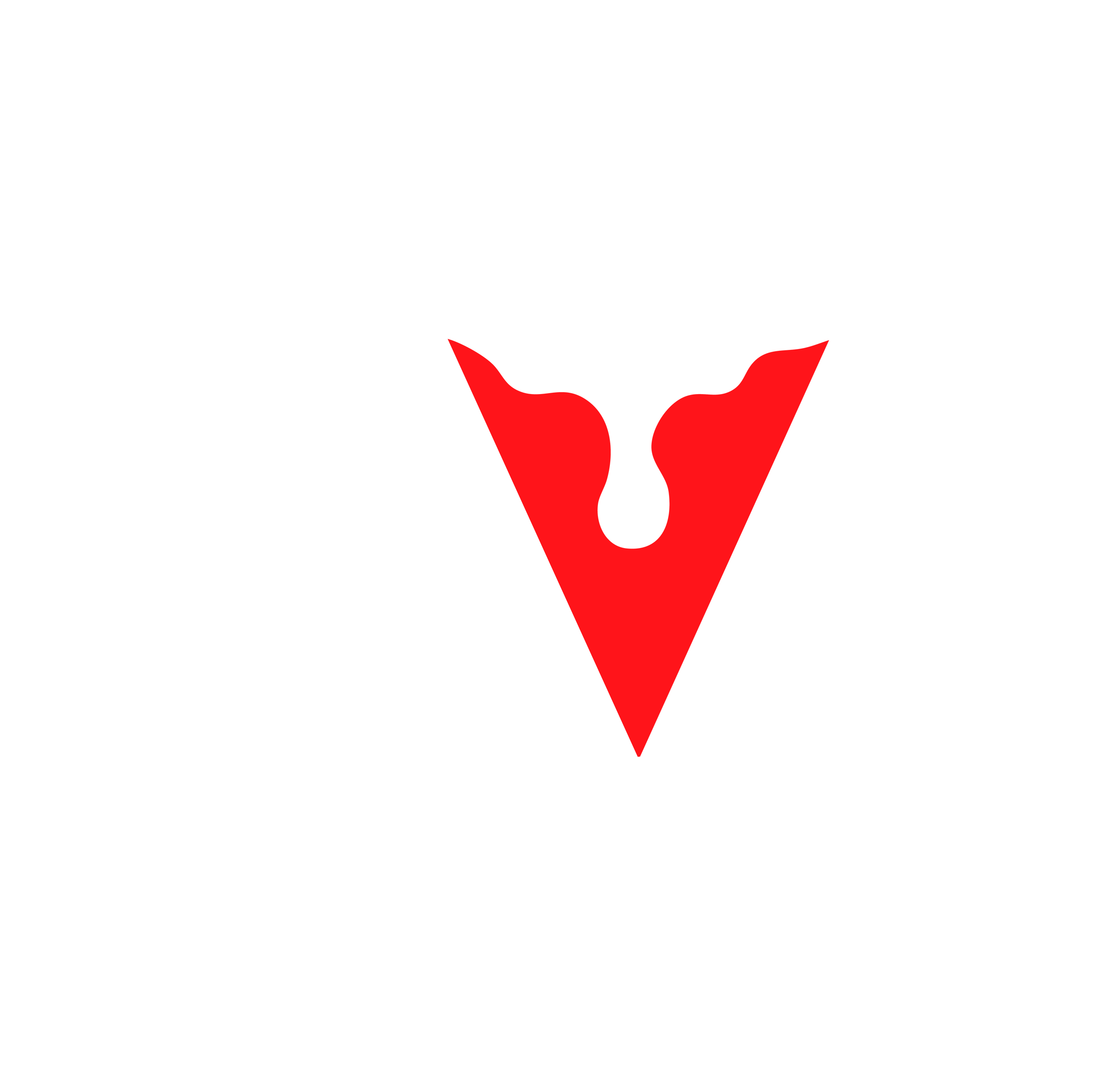 RocaViva Logo