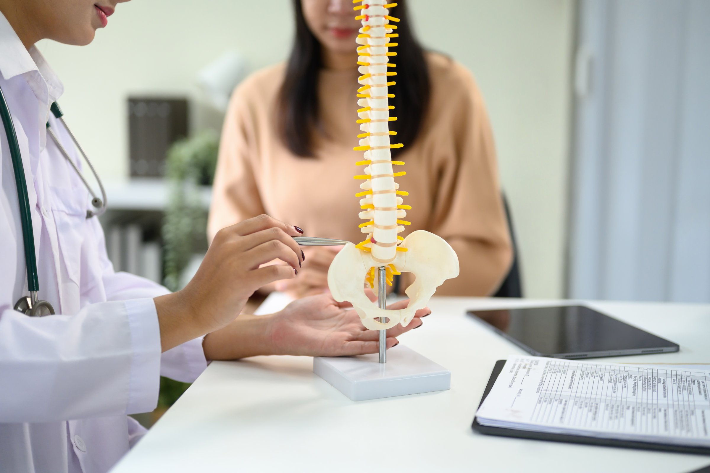 Doctor explaining human spine anatomy with model during medical consultation.