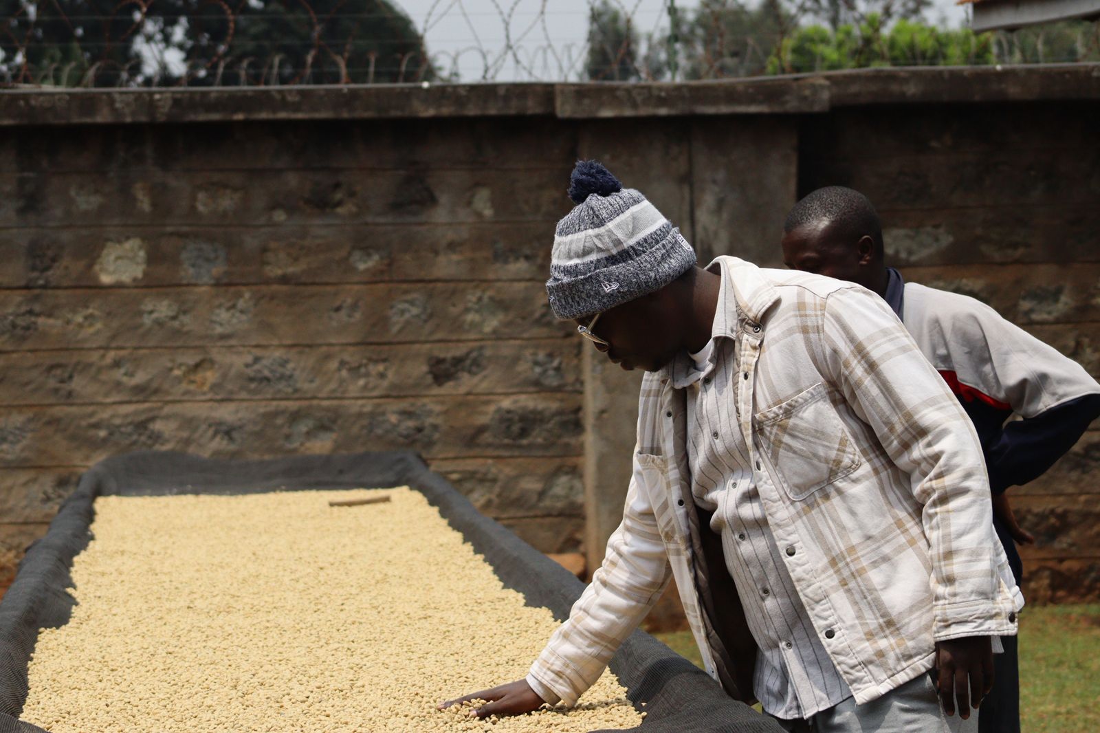 Ruwawa Farm coffee beans