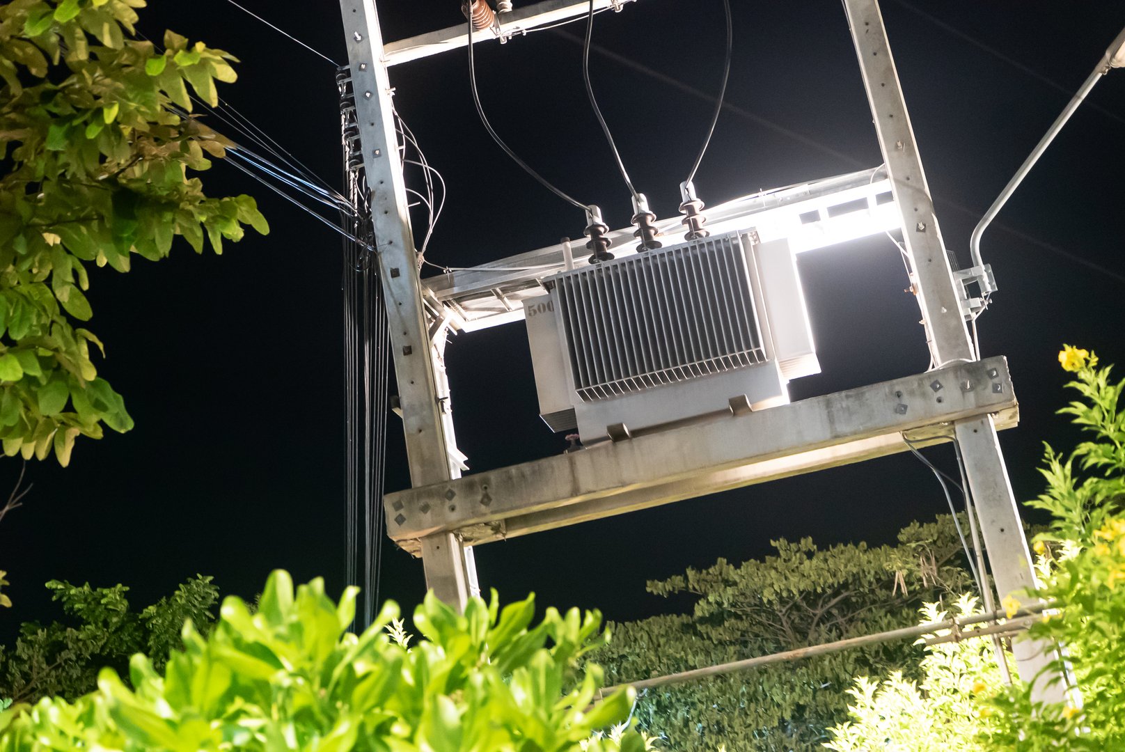 A high voltage power transformer illuminated at night in an urban setting, surrounded by lush foliage, showcasing the balance of nature and technology.