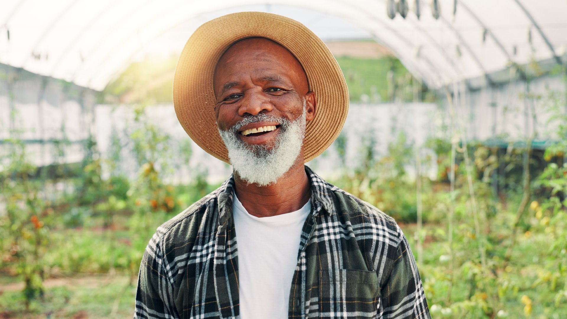 Farm, greenhouse and portrait of mature man with plants for growth, sustainability and harvesting. Agriculture, nature and African farmer with agro business for healthy crops, vegetables and produce