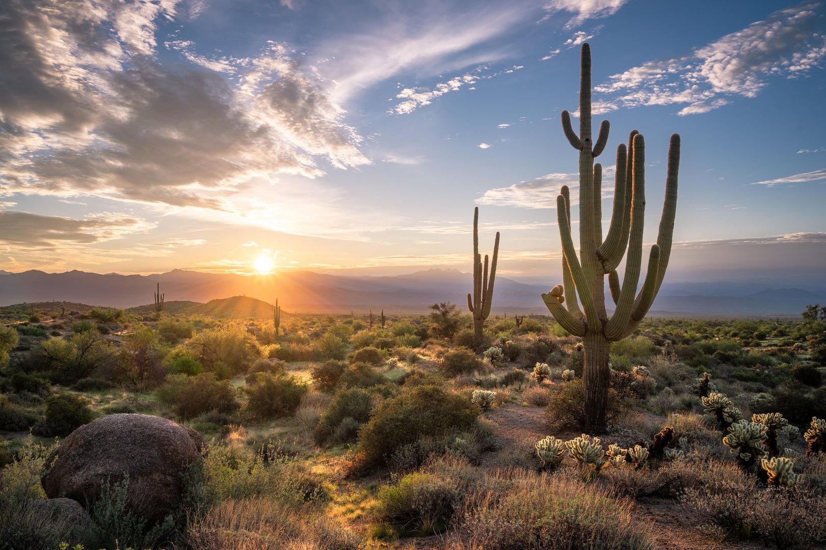 Sunrise in sonoran desert with saguaro cacti and desert landscape