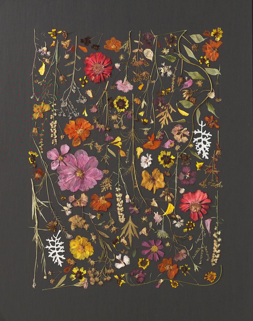 Pressed Flower Artwork 4