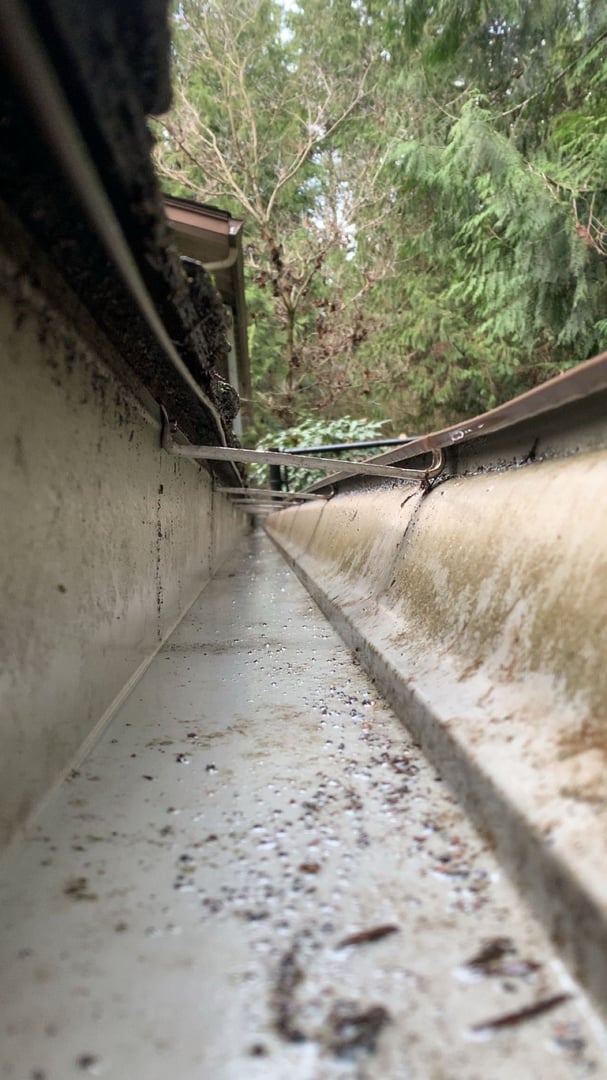 Professional cleaning service by Nicholson's Cleaning