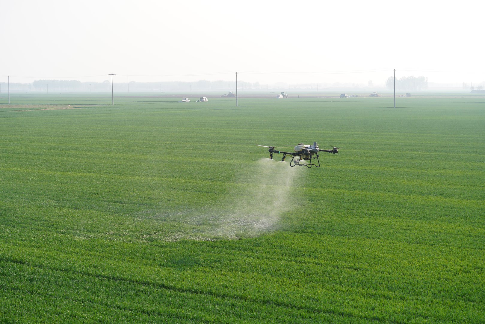 High-resolution photographic images of industrial drones spraying drugs on rice paddies and fields. Drug spraying using a drone concept. Smart agriculture.