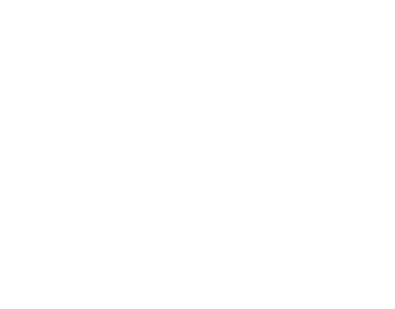 Stoun Logo