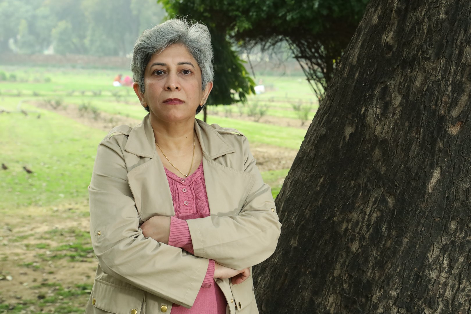 Happy Indian old lady smile standing in a green park under a tree showcasing different moods