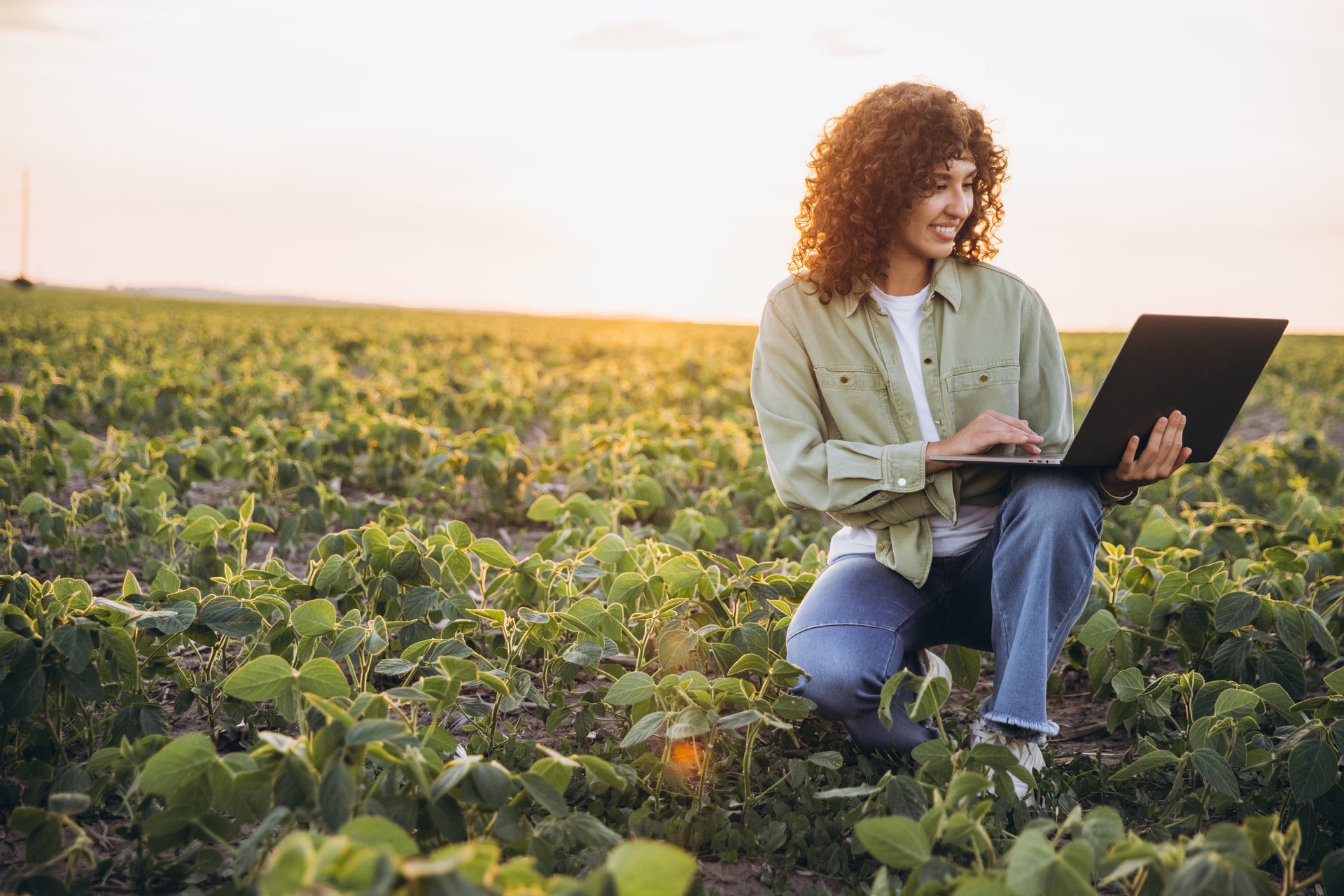 Young woman agronomist working on a laptop while inspecting soybean crops in a field during a vibrant sunset