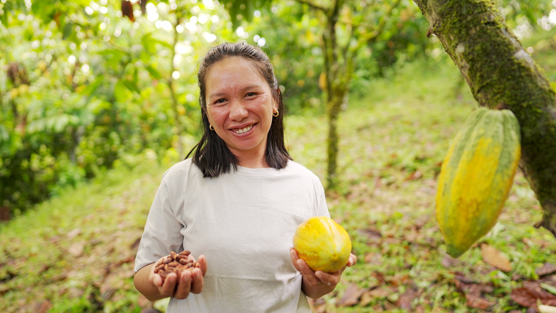 Portrait of smiling southeast asian woman farmer in cacao farm holding harvested pod in one hand and processed beans in the other