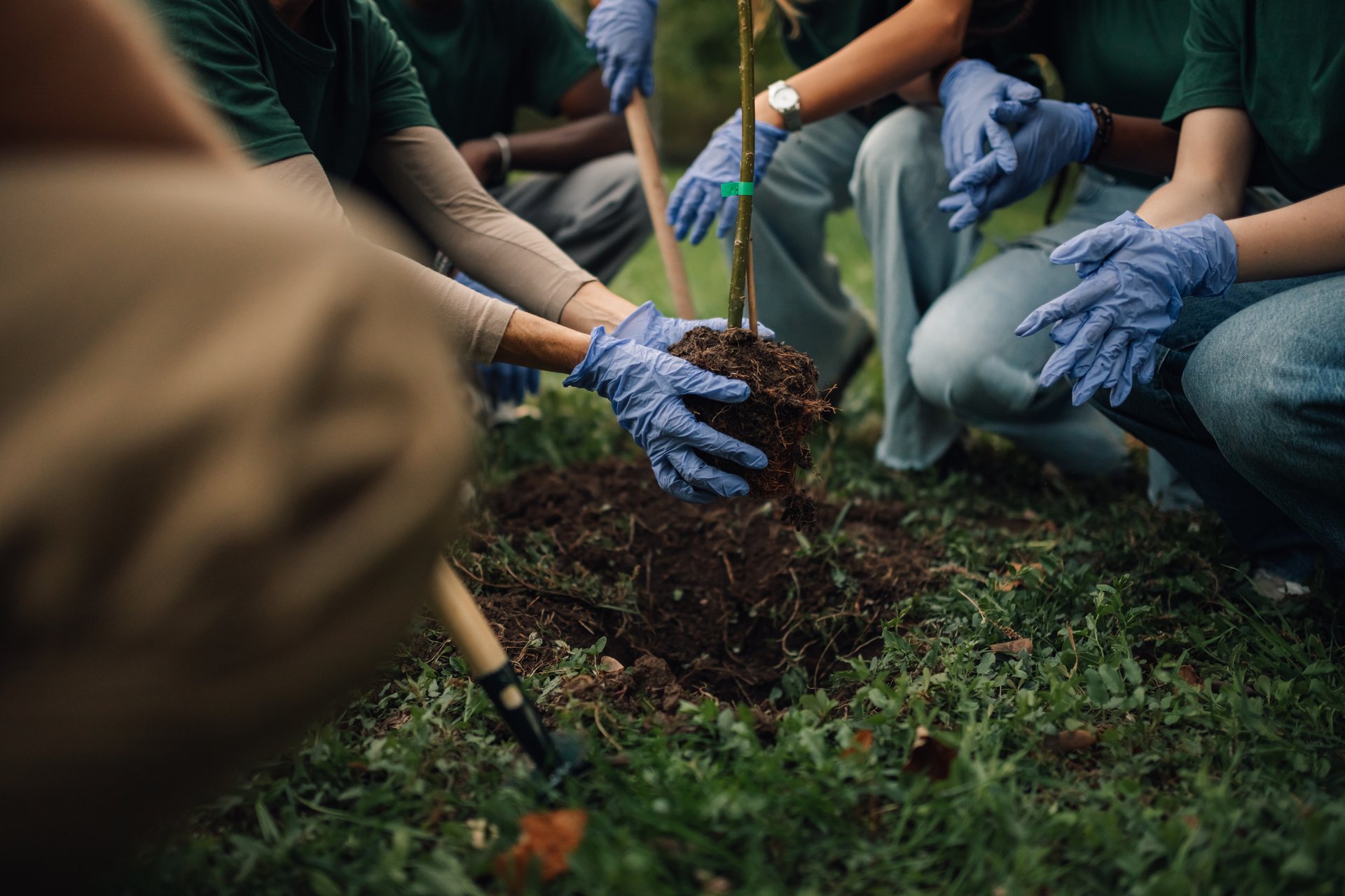 Group of volunteers planting a tree sapling in the park as part of a community reforestation project