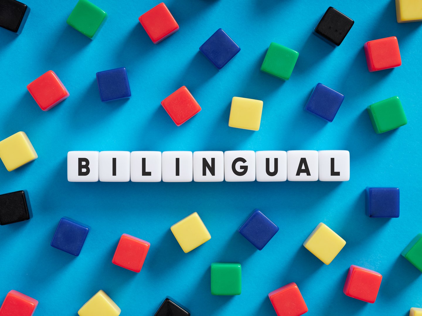 Bilingual education concept. Colorful cubes on blue background with the word bilingual.