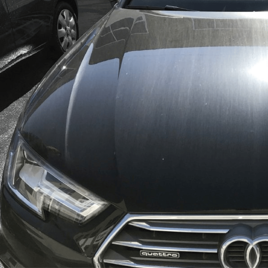 Before paint correction