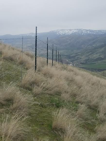 Custom Fence Design