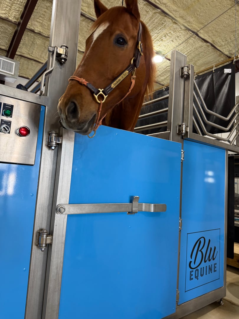 Blu Equine facility