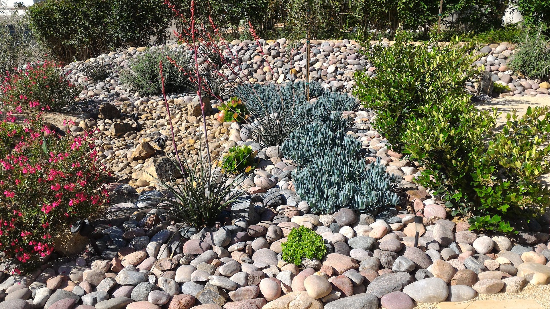 Xeriscaped front yard for water conservation with dry creek bed and economical solar lighting.