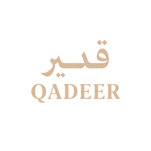 Qadeer Future Logo