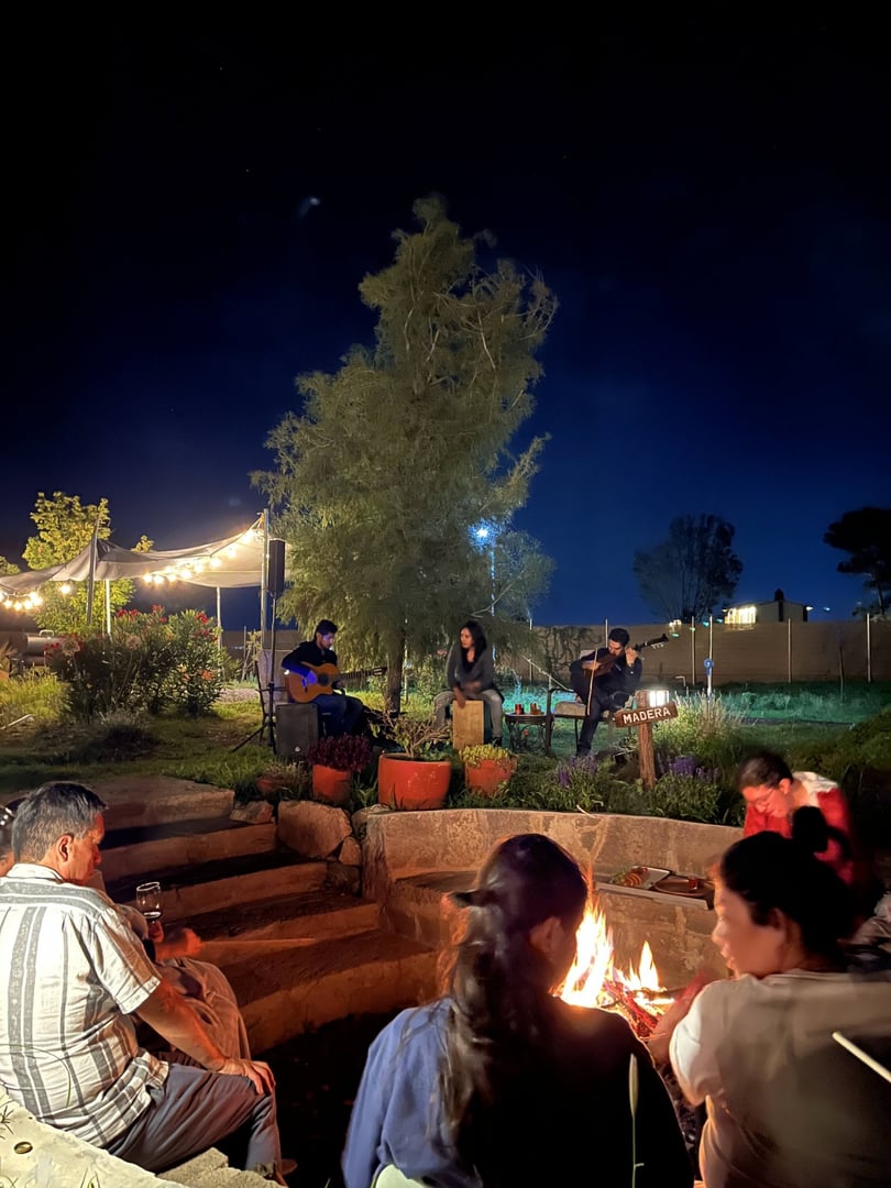 People sit around a fire pit at night, with musicians playing guitars nearby in a garden setting.