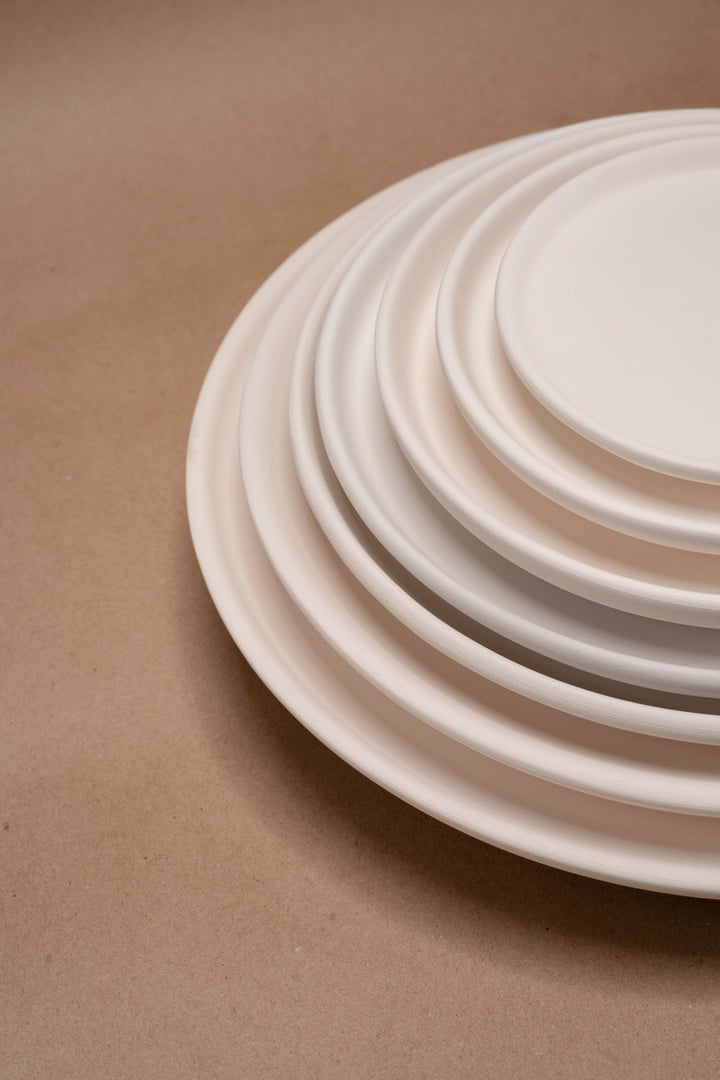 Plato principal de cerámica Naidich