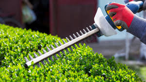 Shrub and hedge trimming service