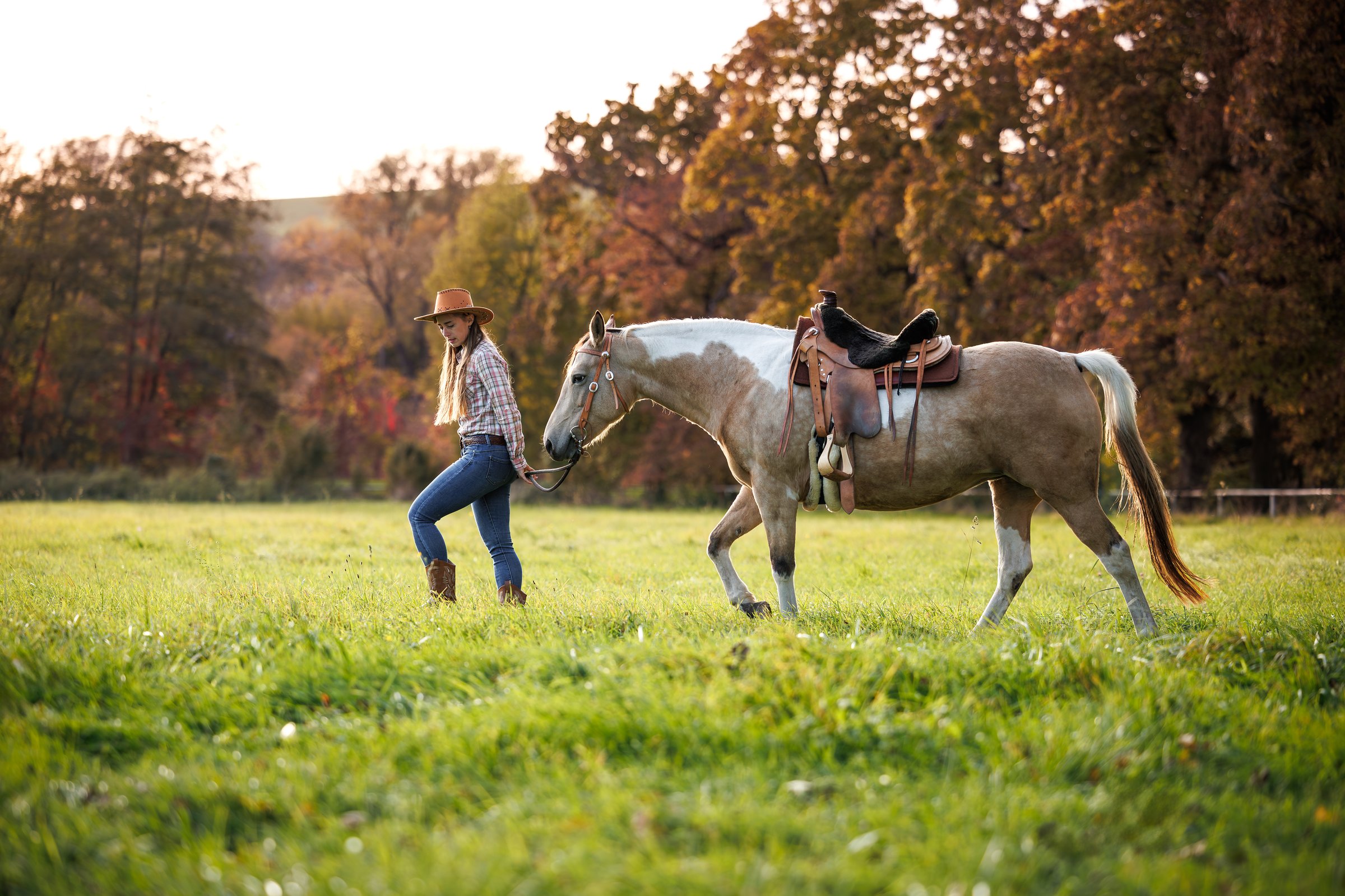 Horseback proposal experience around Mt Fuji