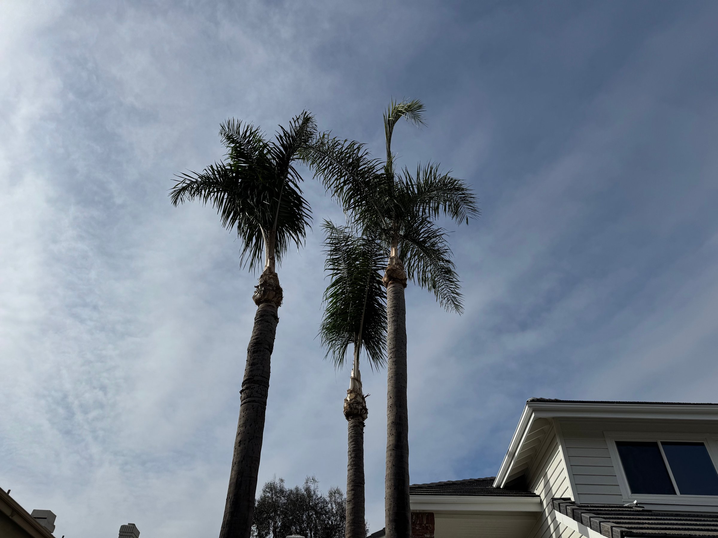 Leon Landscape Corp project showcase