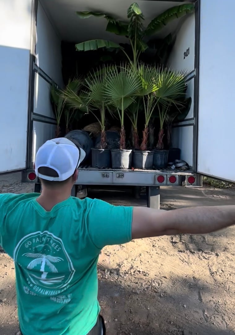 Team member wearing GO Palm Trees shirt