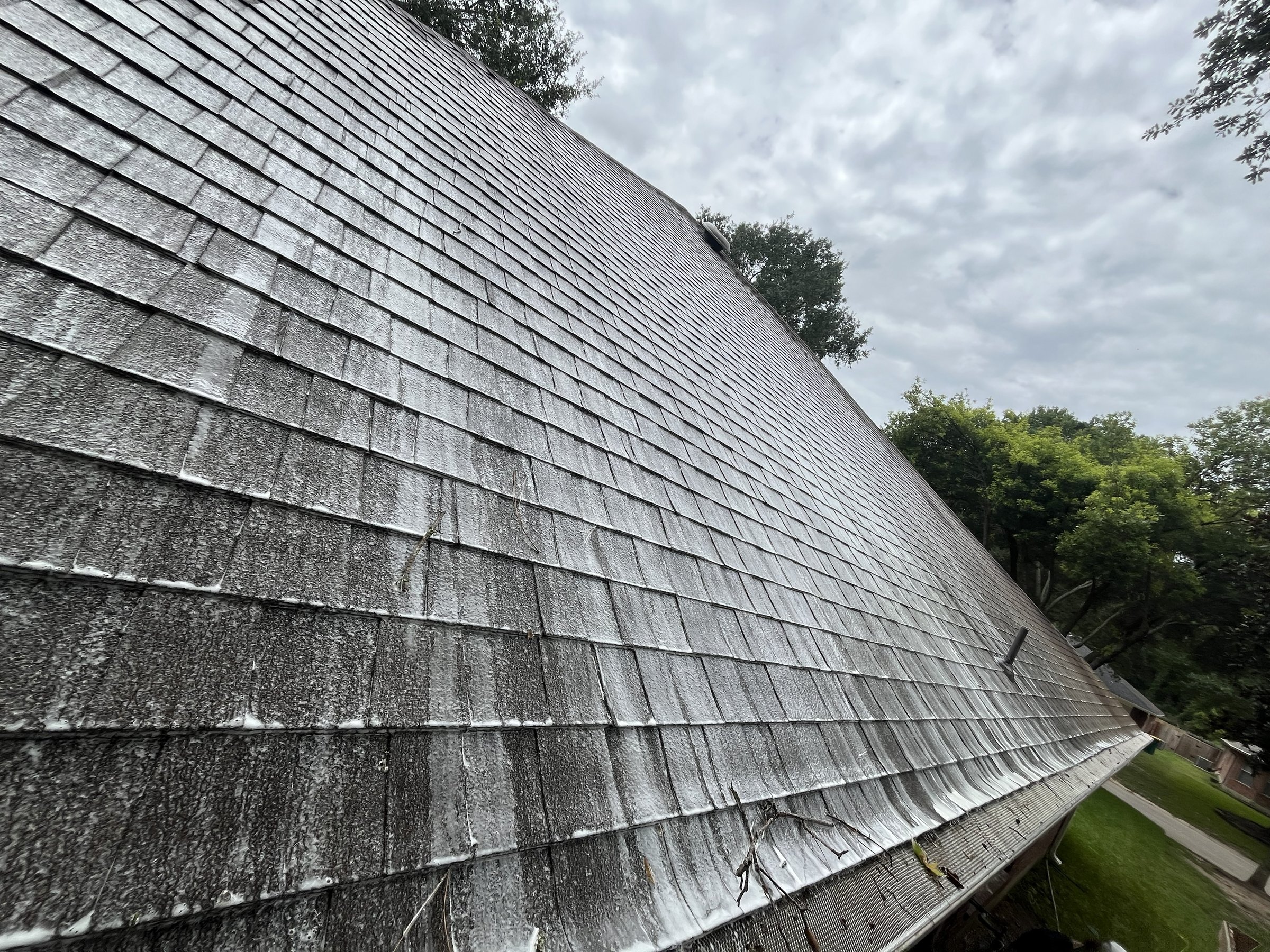 Soft washing service with cleaning solution on roof