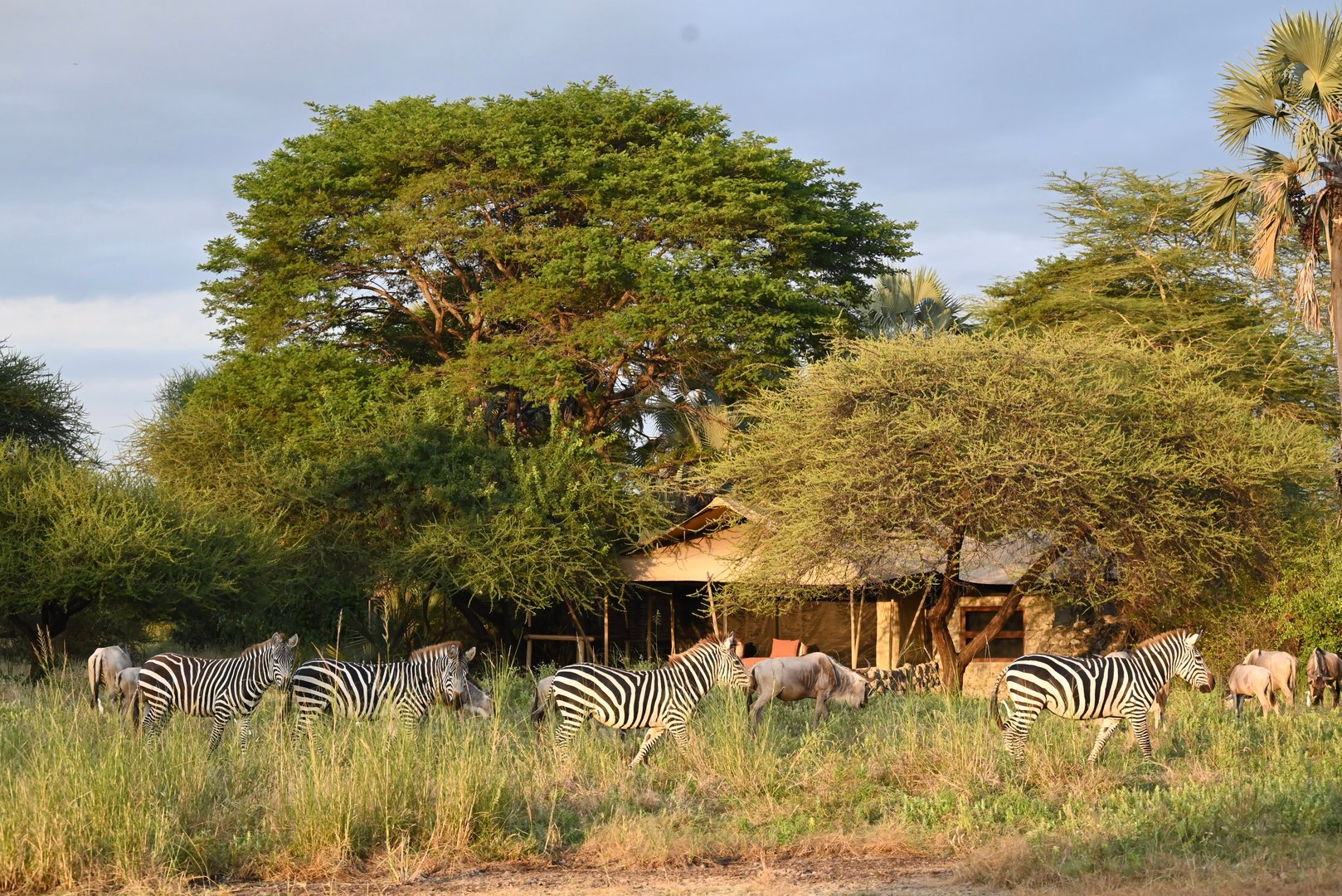 The Chem Chem Lodge near Lake Maynara National Park has several safari tents for its guests.