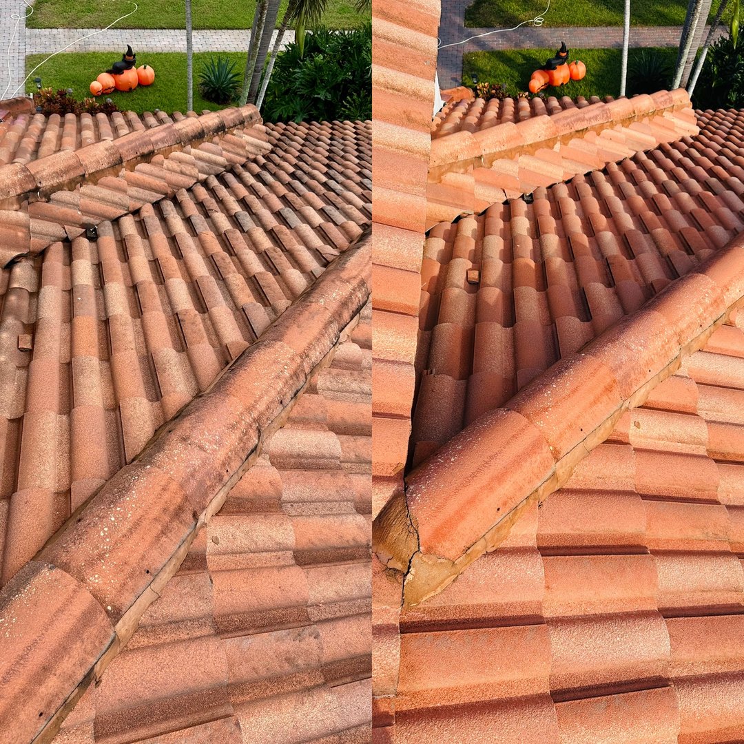 Technician on ladder cleaning roof
