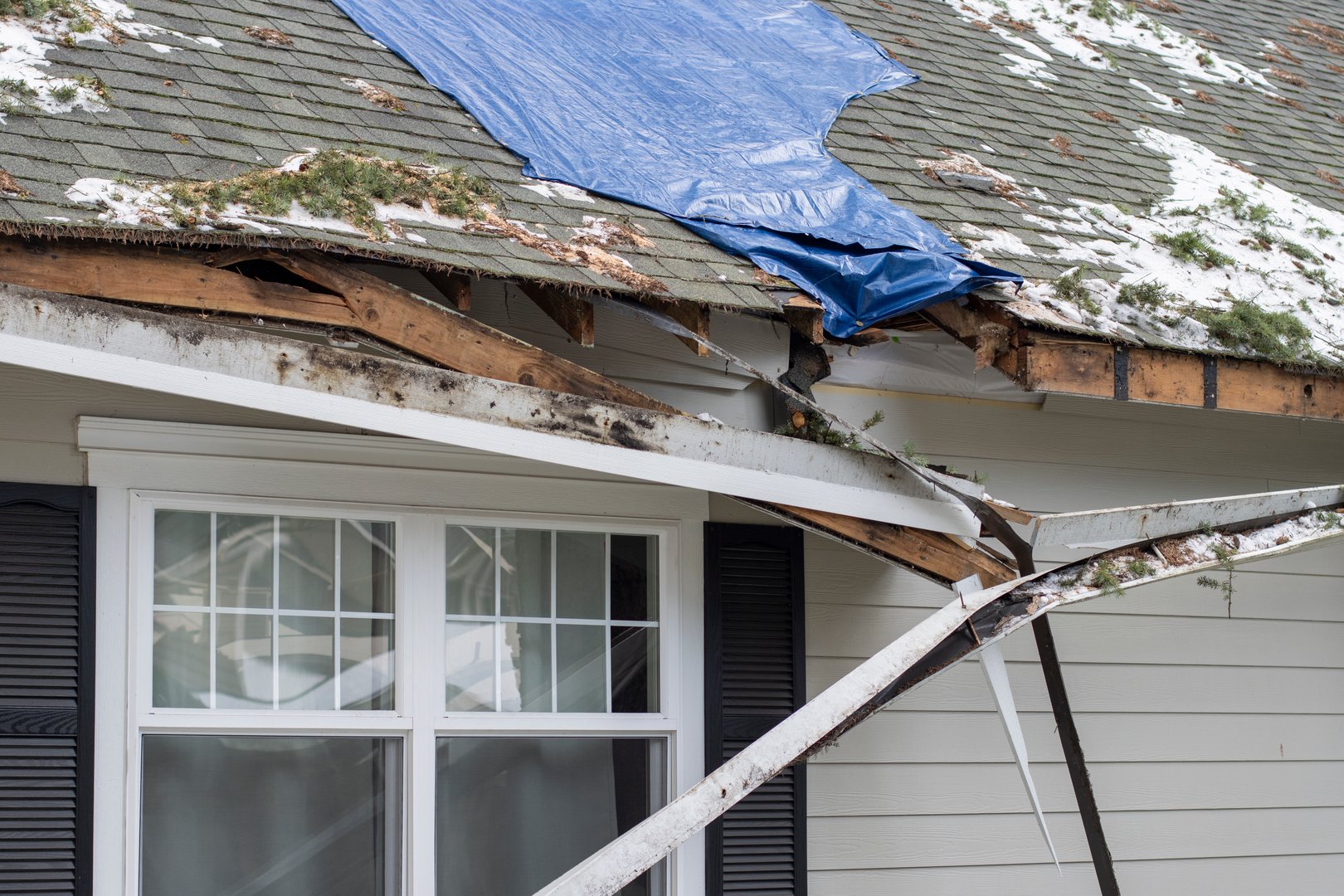 Residential house crushed by fallen trees and tree limbs during severe winter storm with strong winds. Tarp is placed on the damaged rooftop area as a temporary measure before proper roof repairs.