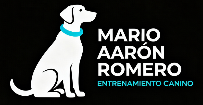 Mario Aaron Romero Logo