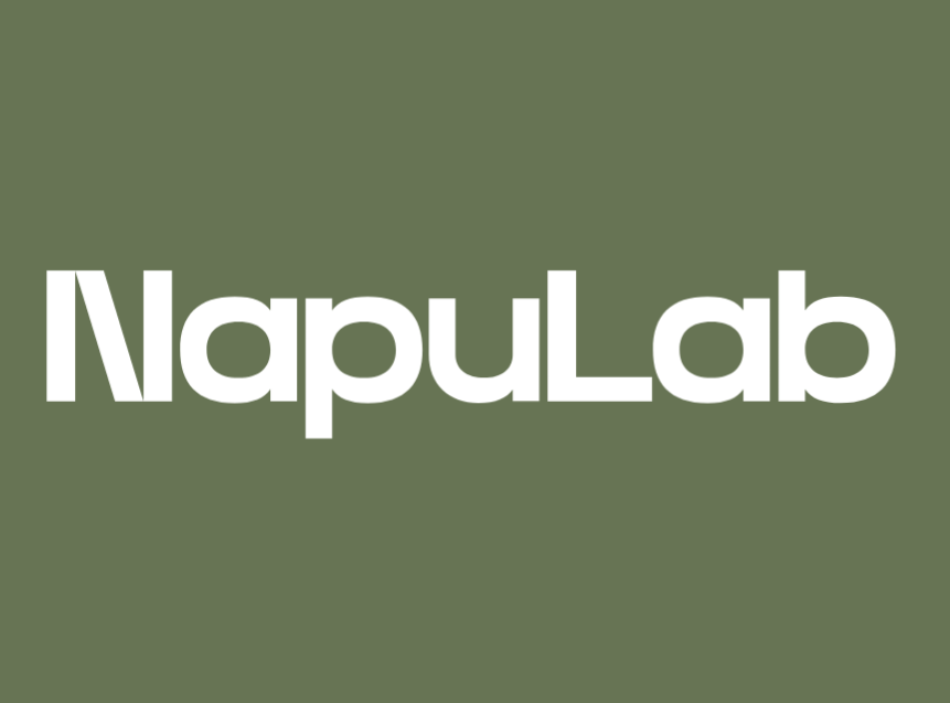 Napulab Logo