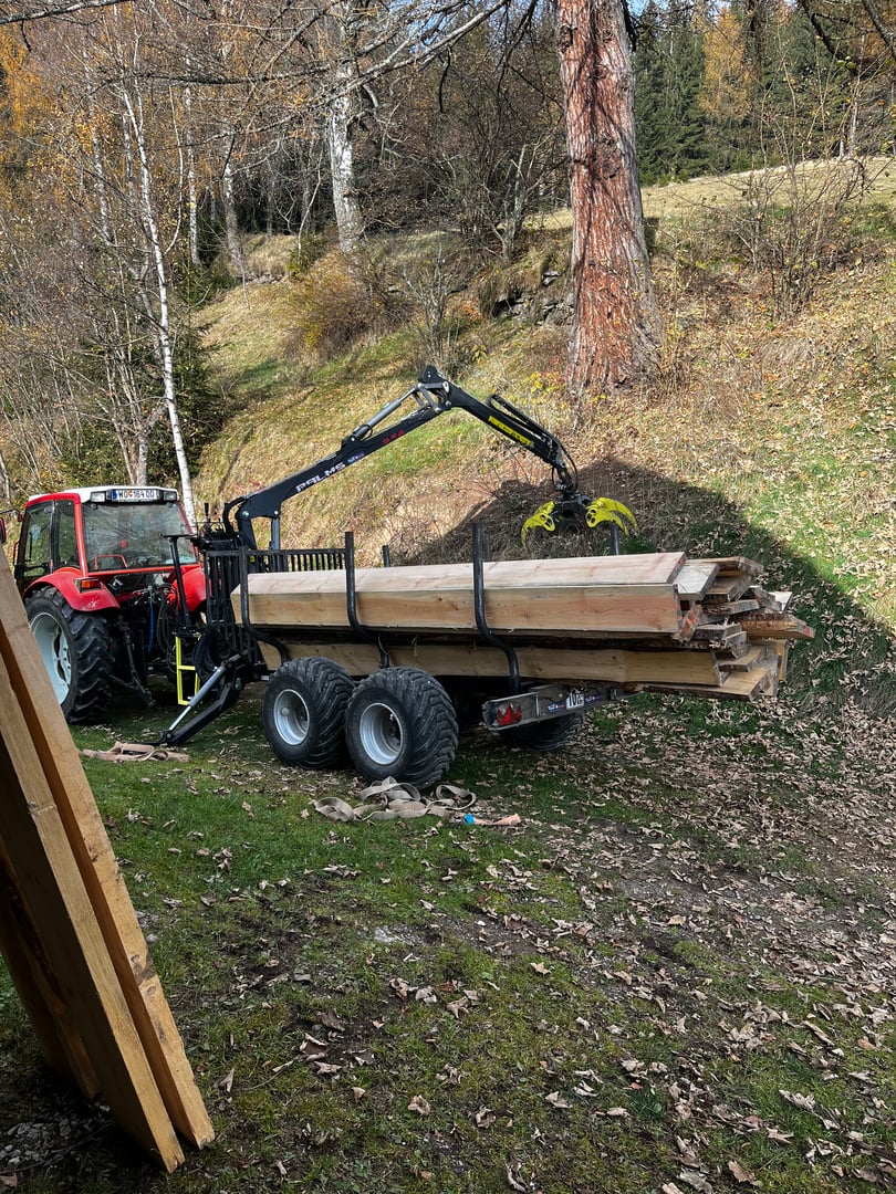 Forestry Work Detail 4