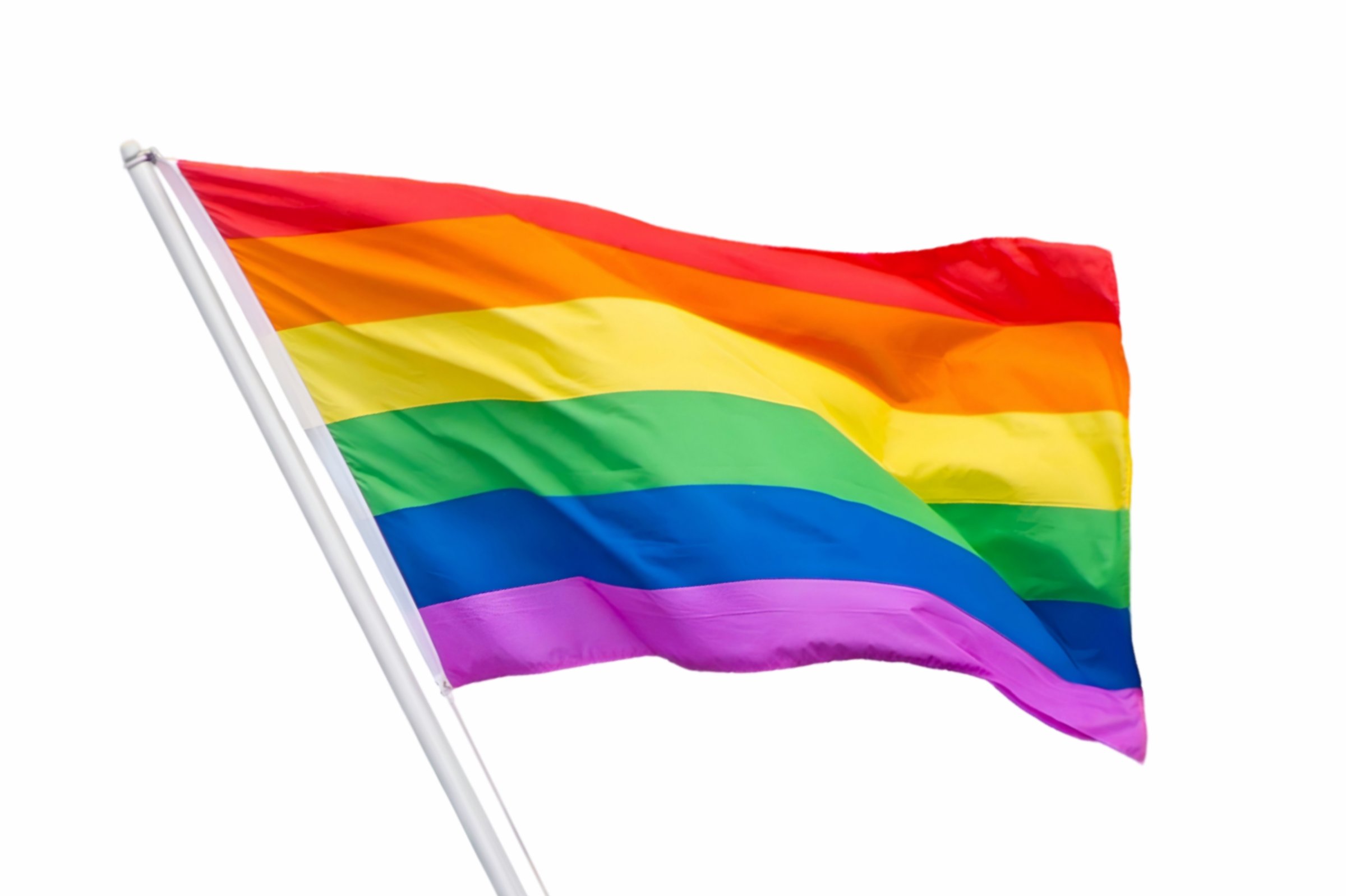 lgbt flags on a white background