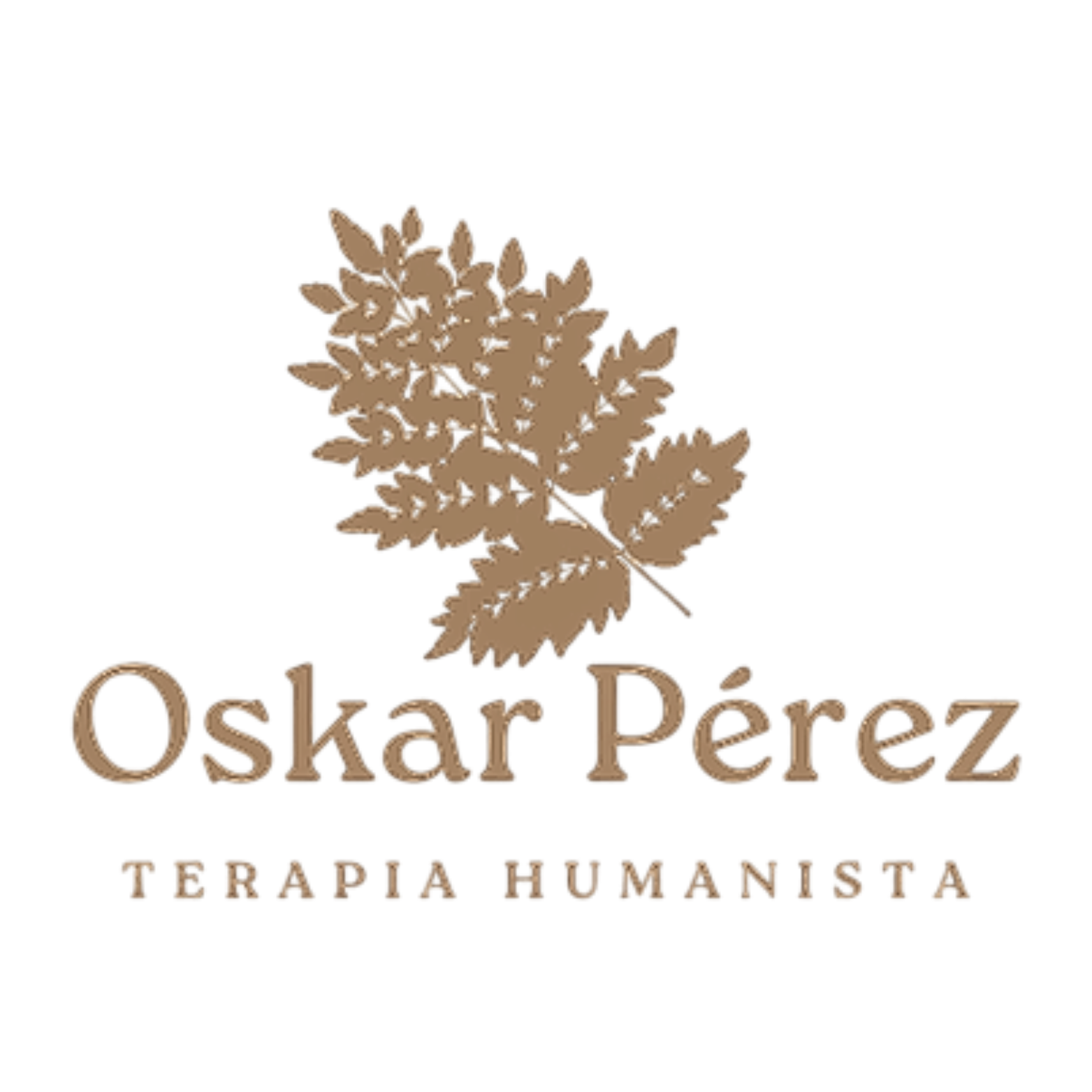 Oskar Pérez Terapeuta