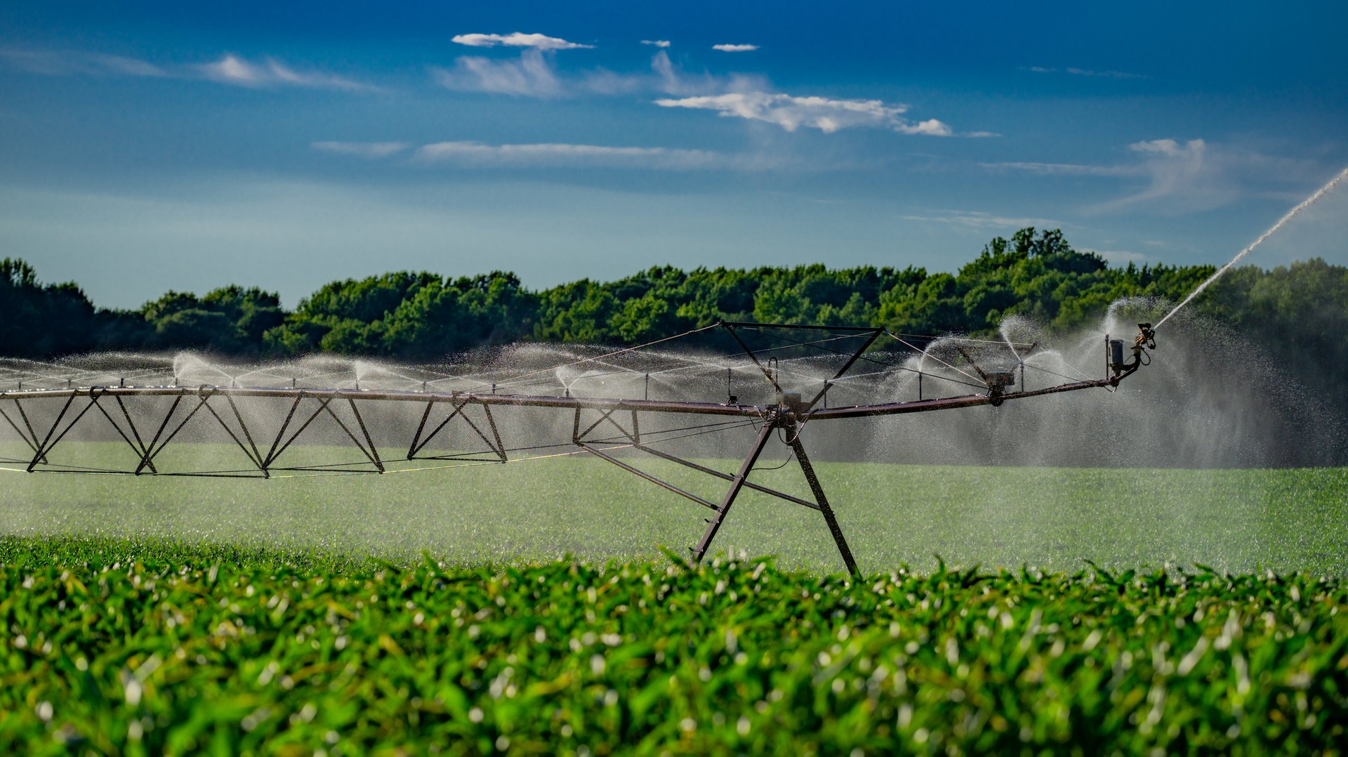 Irrigation system is watering large alfalfa field. Automatic Sprinkler irrigation system watering in the vegetable farm. Sprinkler Irrigation system for watering a farm lawn. Agriculture irrigation