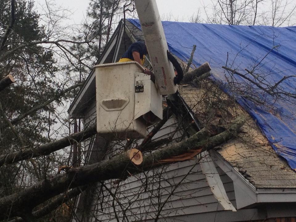 Residential and commercial tree service