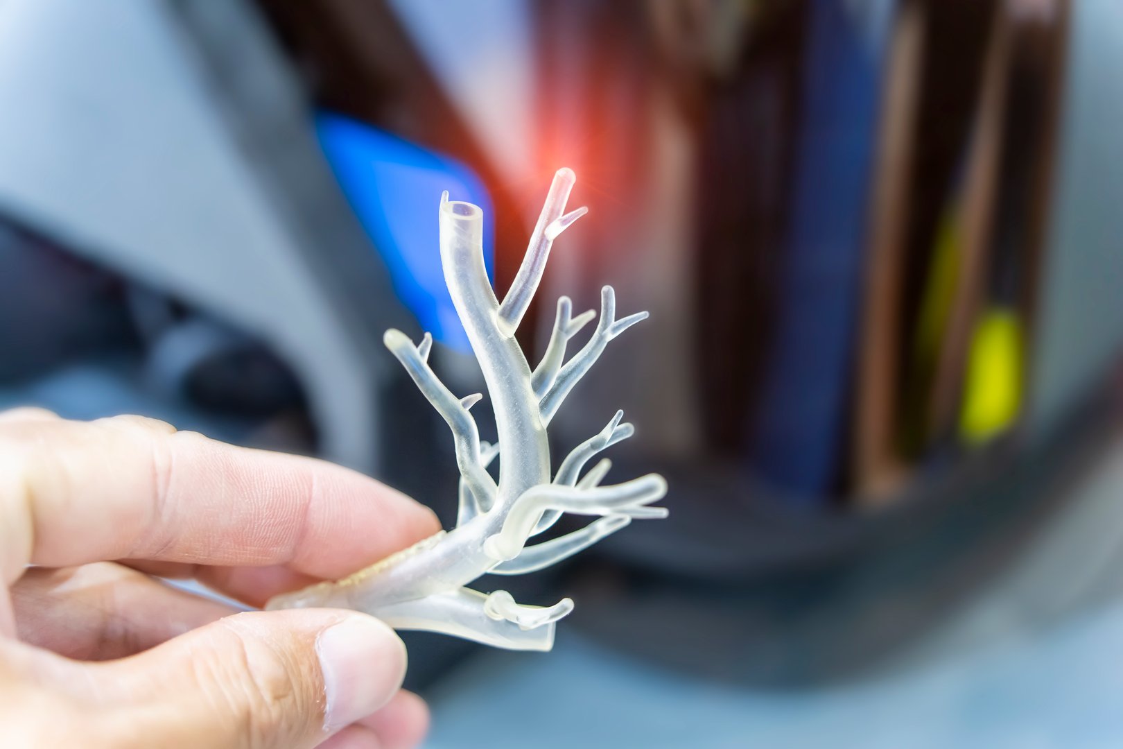 man holding object in shape of medically accurate a human blood vessel printed on 3d printer