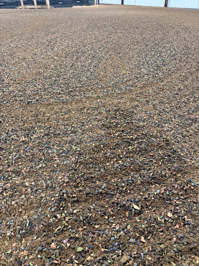 Indoor arena with foam footing at Blu Equine